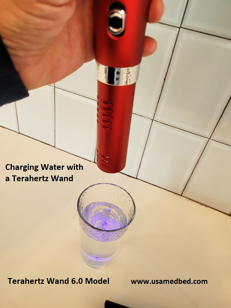 Terahertz wand with a terahertz wand